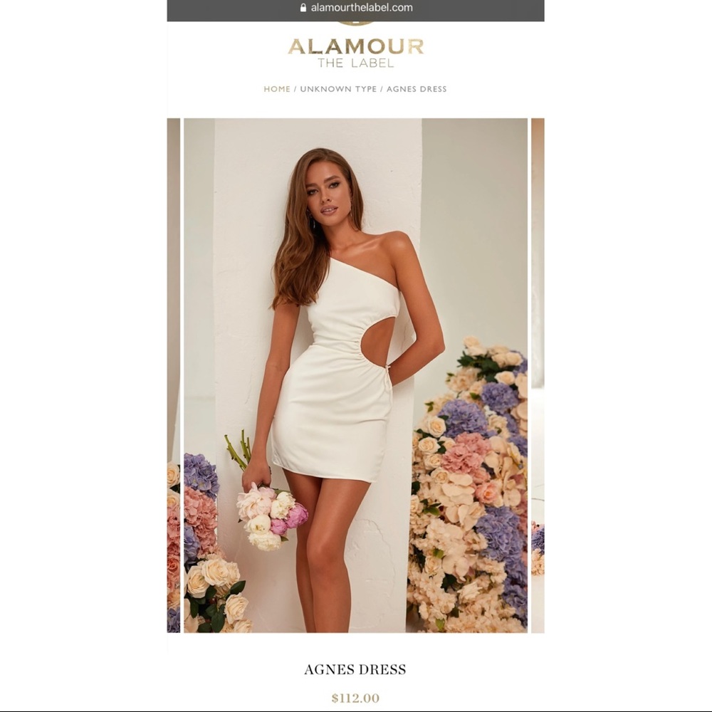 Agnes Dress - new with tags